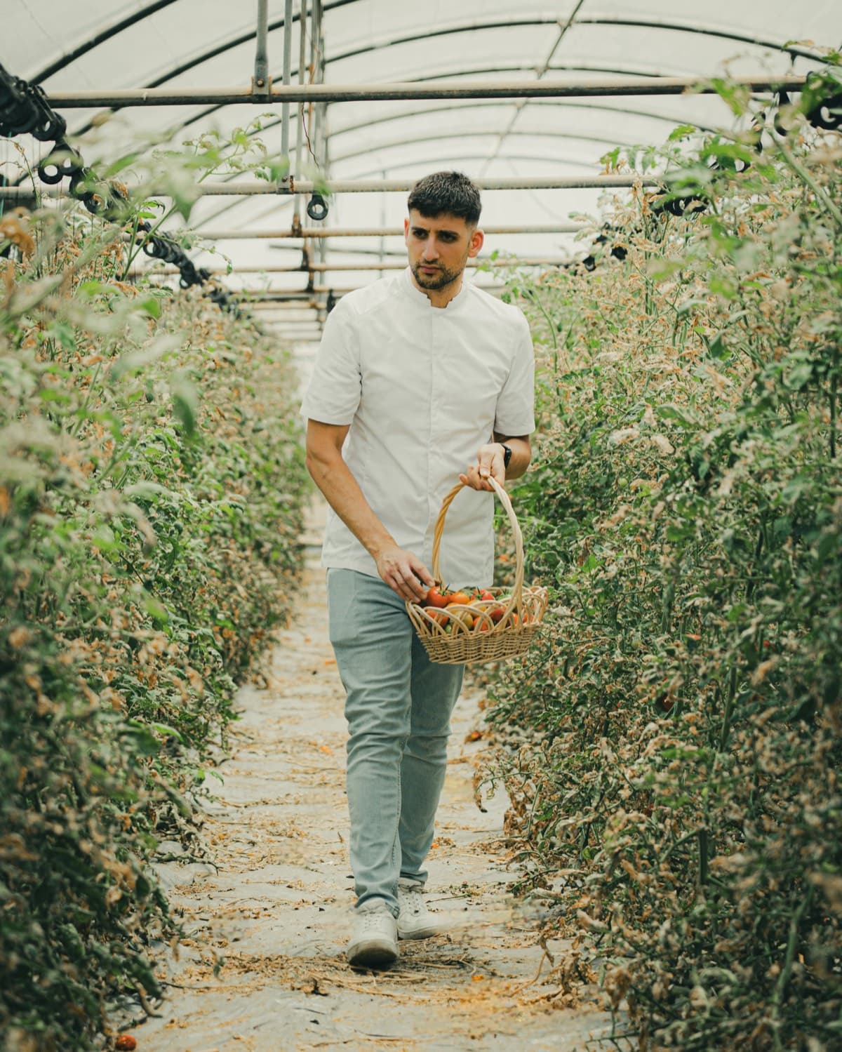 Chef Dimitris in a greenhouse with fresh tomatoes